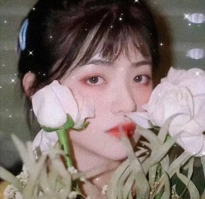恶毒一族